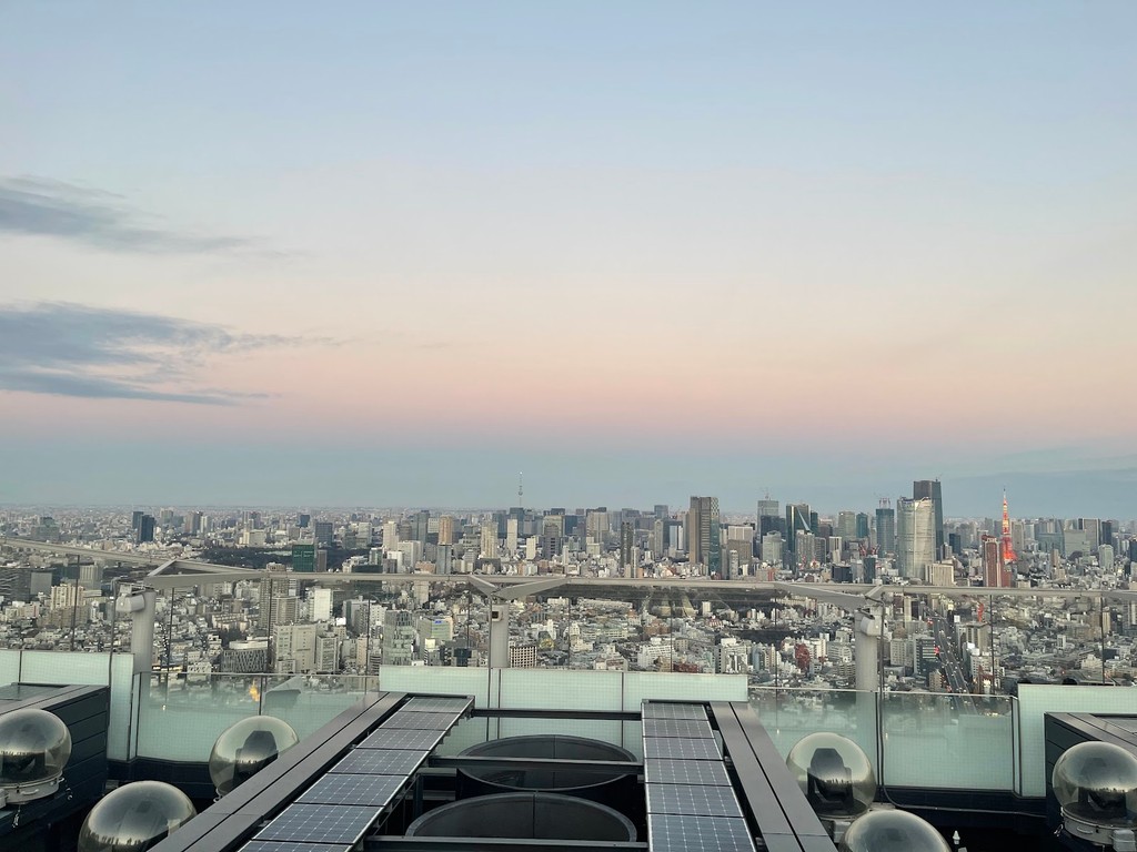 Shibuya Sky (Source: Google Maps)