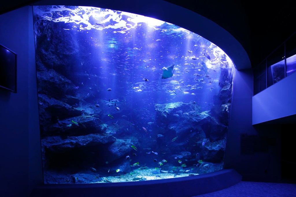 Sumida Aquarium (Source: Google Maps)