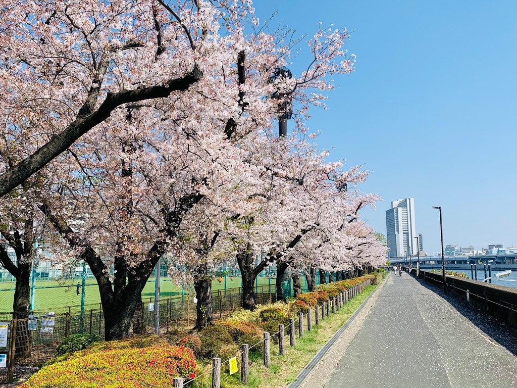 Sumida Park (Source: Google Maps)
