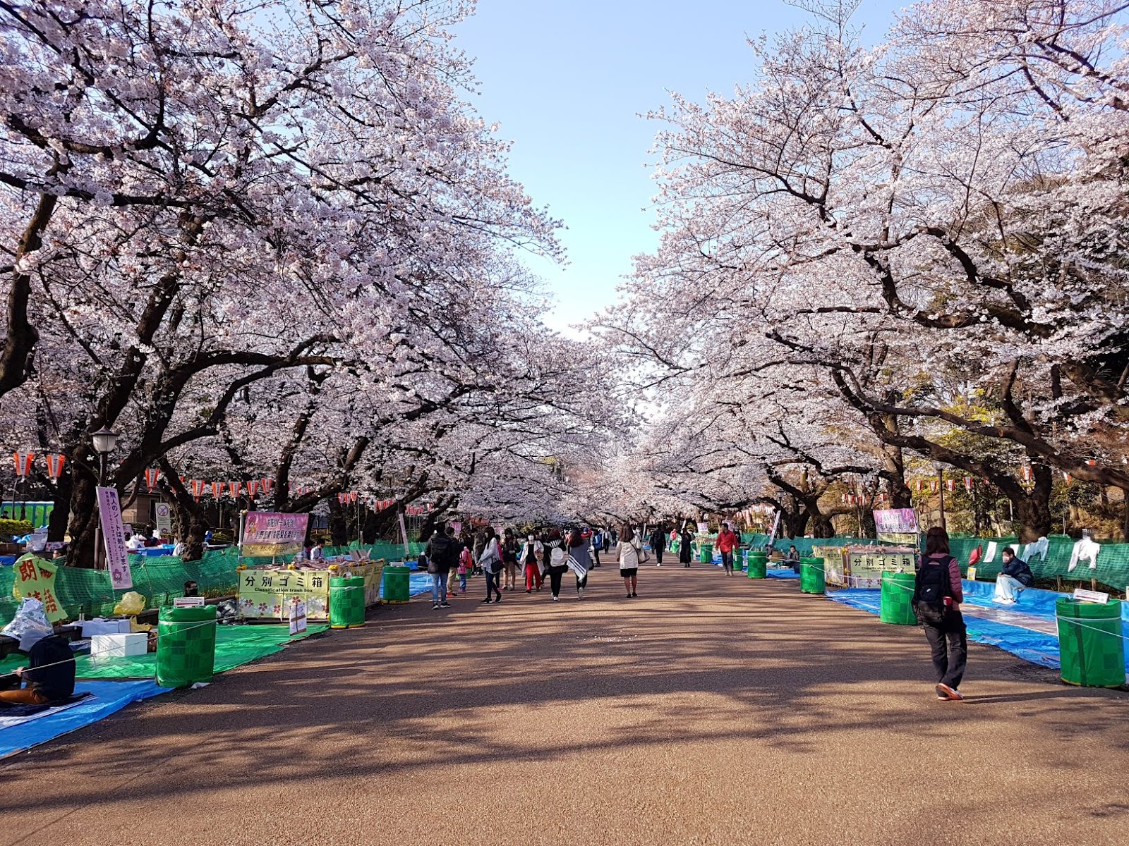 Ueno Park (Source: Google Maps)