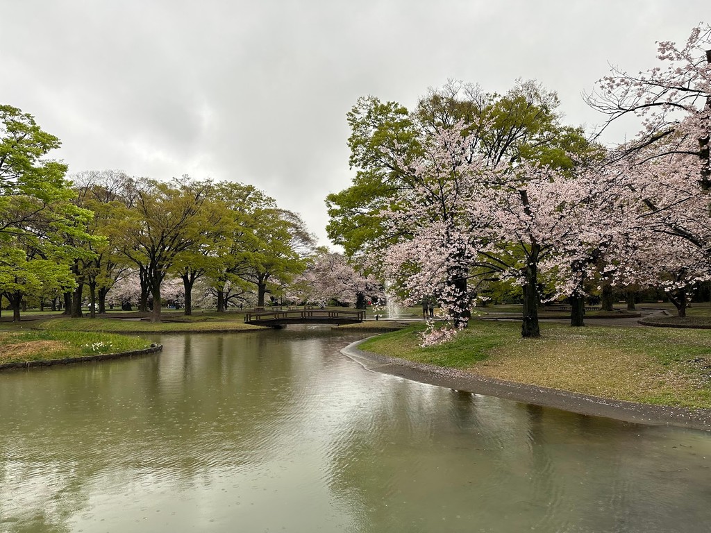 Yoyogi Park (Source: Google Maps)