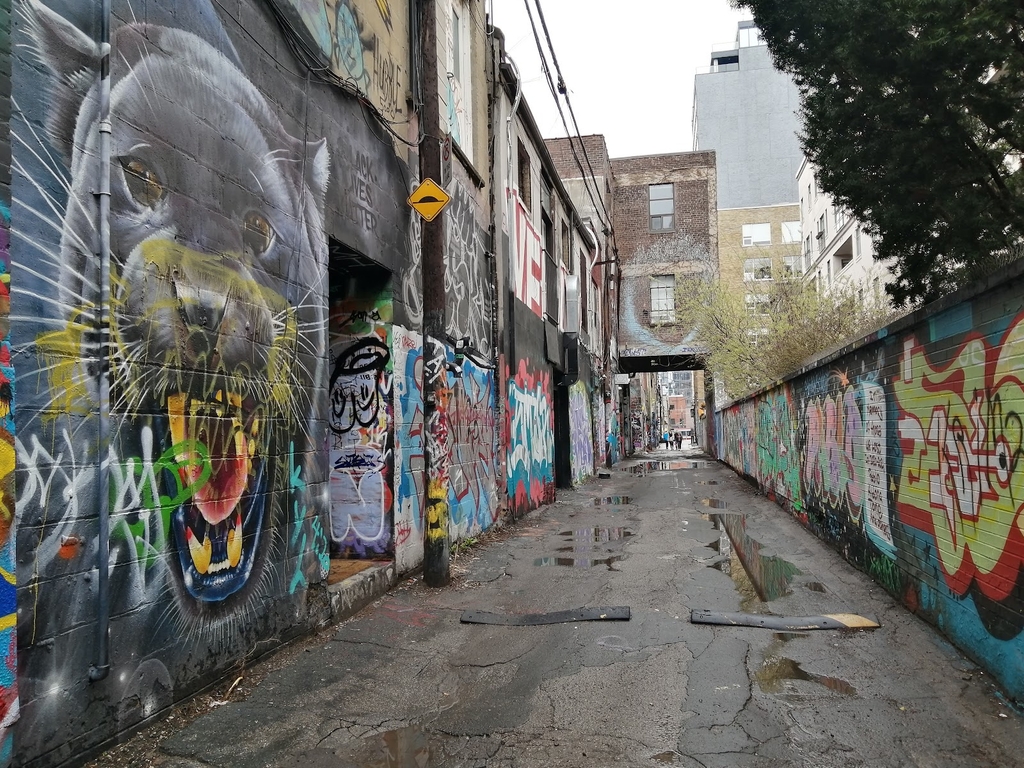 Graffiti Alley (Source: Google Maps)