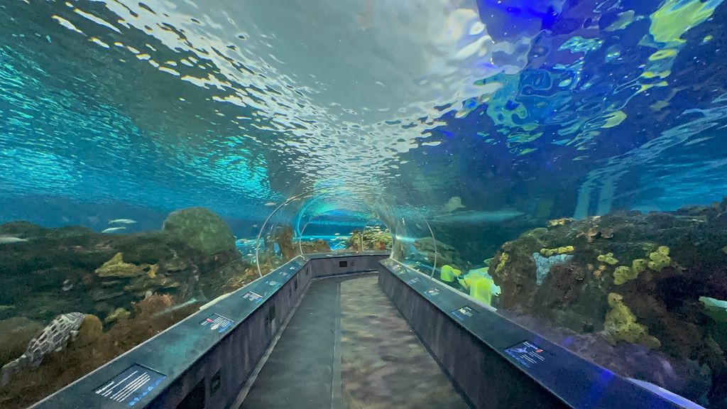 Ripley's Aquarium of Canada (Source: Google Maps)
