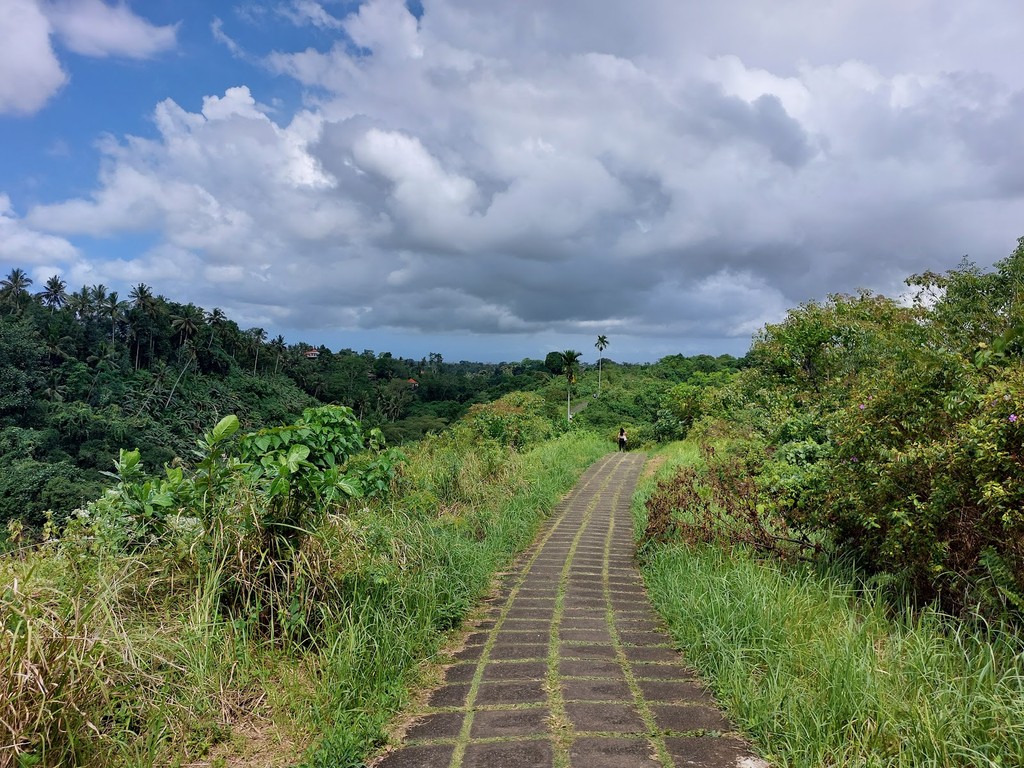 Campuhan Ridge Walk (Source: Google Maps)