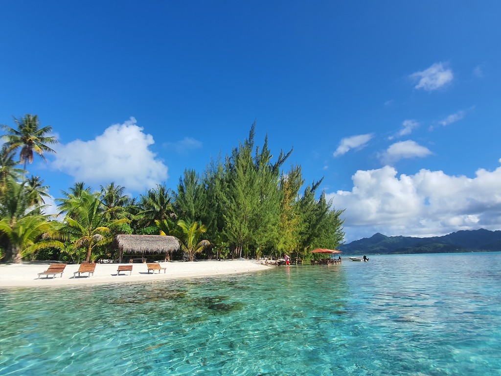 Coral Gardens (Source: Google Maps)