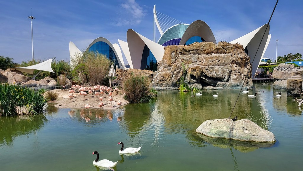 L'Oceanogràfic (Source: Google Maps)