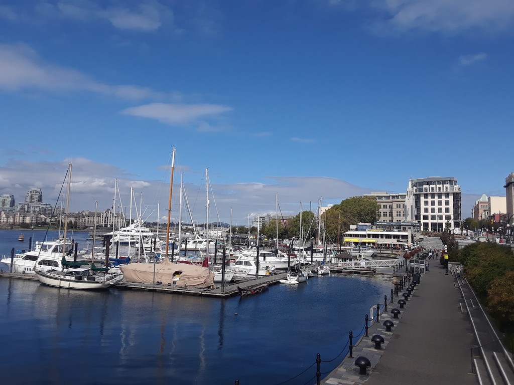 Inner Harbour (Source: Google Maps)