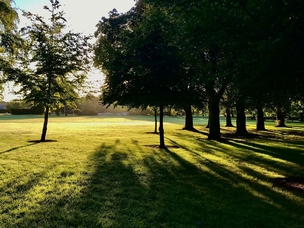 People's Park (Source: Google Maps)