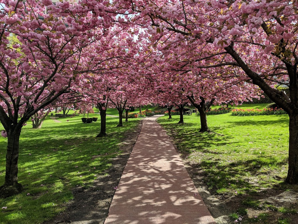 Tibbits Park (Source: Google Maps)