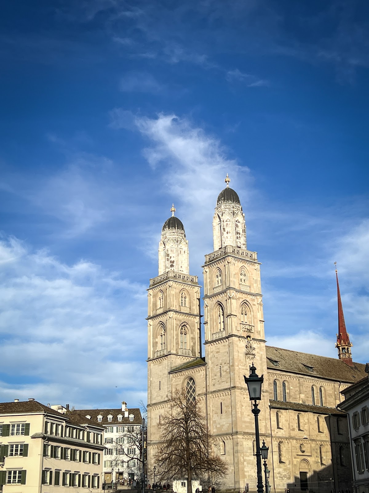 Grossmünster (Source: Google Maps)