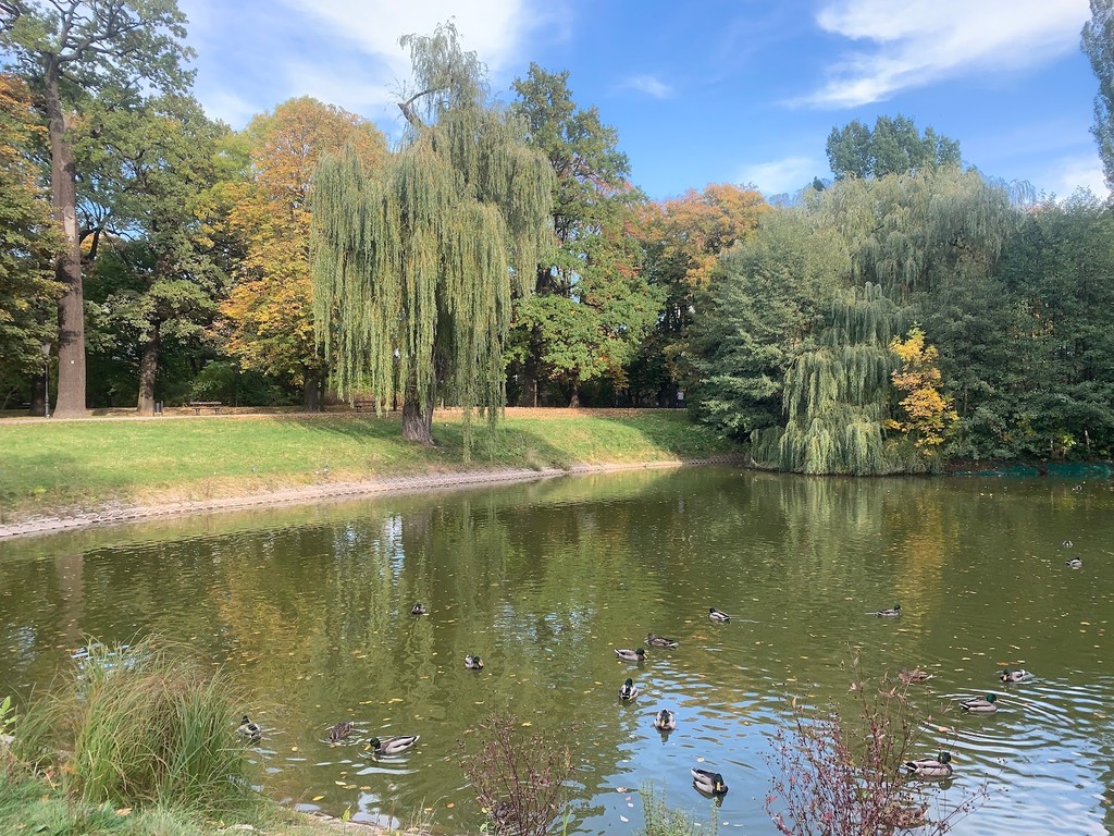 Park Źródliska (Source: Google Maps)